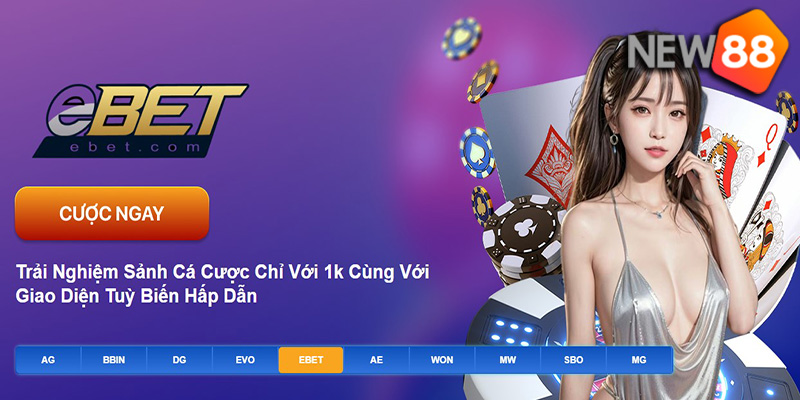 Ưu Đãi Và Khuyến Mãi Tại Casino New88